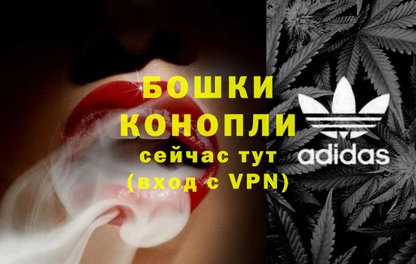 гидра Аркадак
