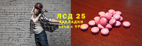 гидра Аркадак