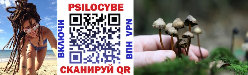 дарнет шоп  ссылка на мегу зеркало  Псилоцибиновые грибы Cubensis  Билибино 